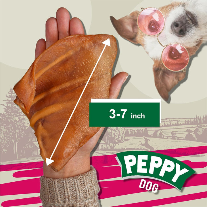 Pig Ears for Dogs (100 Count) | Single Ingredient Dog Chews | Healthy Pig Ears | Natural Treats | Rawhide Alternative | Healthy Treats for All Dogs