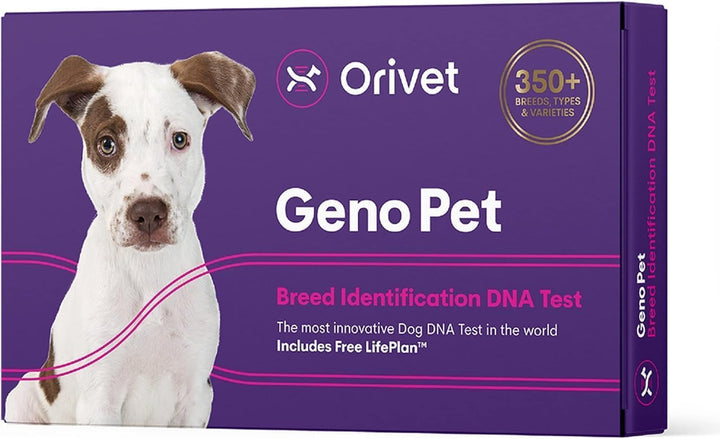 Genopet Dog DNA Test – Dog Breed Test Kit USA | Canine Ancestry & Genetic Health Screening by Age, Weight & Gender | At-Home Swab | Results in 21-25 Days after Activation