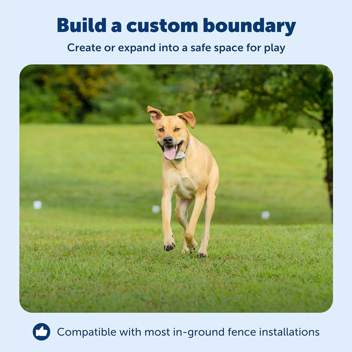 Underground Dog Fence Wire (500 Foot) Create Your  Boundary, Electric Dog Fence Wire (Yellow) - from the Parent Company of IFB