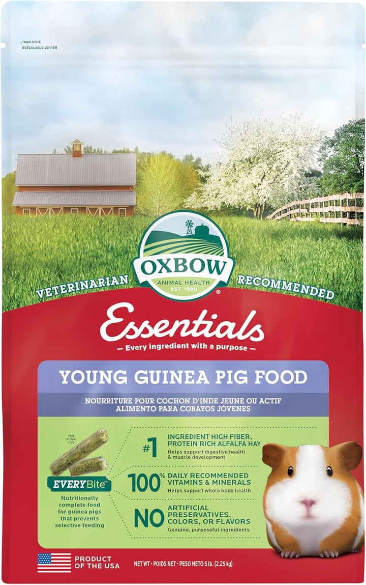 Essentials Guinea Pig Food, Adult Guinea Pig, Made with  Timothy Hay, Pet Food Pellets with Vitamin C, Small Animal Pet Products, Made in USA, High Fiber, 5 Lb. Bag