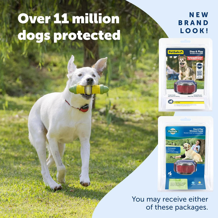 Stay & Play Wireless Fence Receive Collar for Stubborn Dogs - Rechargeable & Waterproof Receiver Collar with Quick Charge in 2-3 Hours - for Dogs 5Lb+