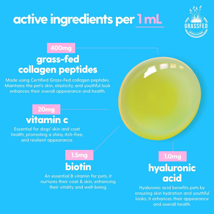 Premium Grass-Fed Collagen for Dogs Skin and Coat Supplement, Cats |  Liquid Collagen | Itch Relief for Dogs with Allergies, Biotin, Vitamin C and Hyaluronic Acid | Made in USA