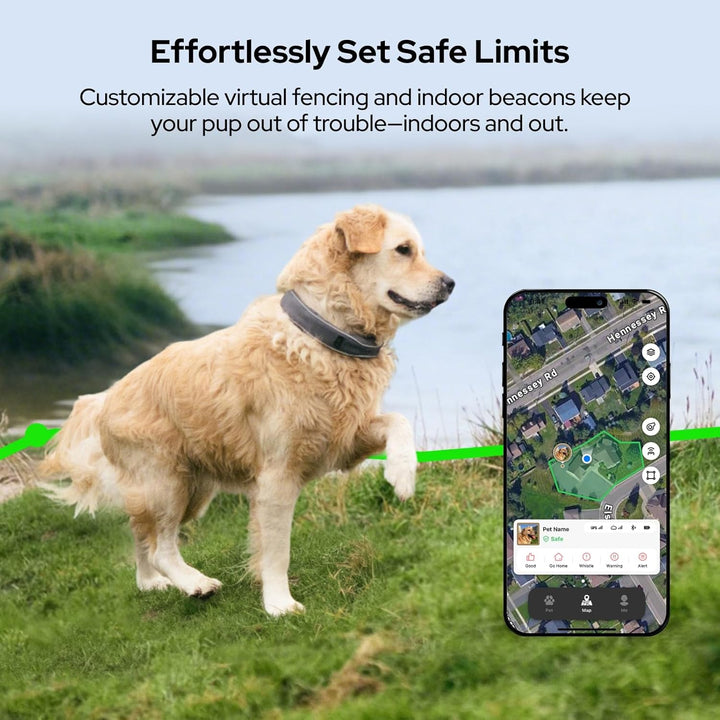 Dog Wireless Fences, Gray the Most Advanced GPS Dog Collar with AI Analysis, Precise Positioning, 5-Day Battery, and IP68 Waterproof, Flexible Virtual Fencing for Medium & Large Dogs