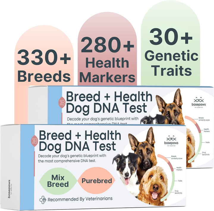 Dog DNA Testing Kit - 300+ Breeds, 280+ Health Risks, and 30+ Traits - Comprehensive Mixed Breed Identification, Pet DNA Test Kit, Canine Genetic Ancestry and Heritage