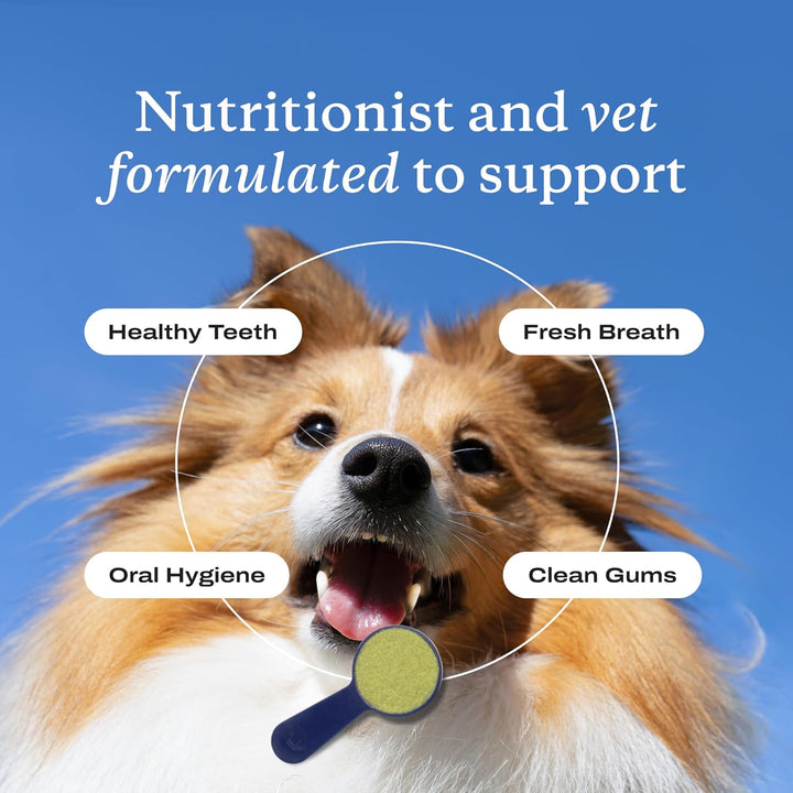 Probright Dental Powder - Dog Breath Freshener - Teeth Cleaning Made Easy – Targets Tartar & Bad Breath - Formulated for Small Dogs - Packaging May Vary