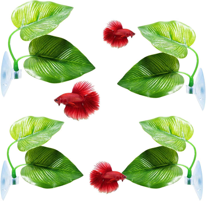 2 Pack Betta Fish Leaf Pad Improves Betta'S Health by Simulating the Natural Habitat - Natural, Organic, Comfortable Rest Area for Fish Aquarium Ornaments