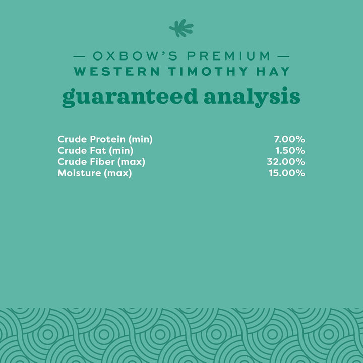 Animal Health Western Timothy Hay, Guinea Pig Hay, Small Pet Bunny Supplies, All Natural Grass for Guinea Pig, Bunny, Chinchilla & Hamster,  Rabbit Supplies for Bunnies, 90 Oz. Bag