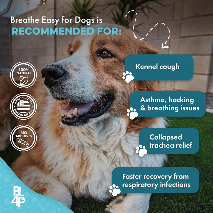 Dog Kennel Cough Treatment & Natural Decongestant, Breathe Easy Cough Treatment for Wheezing, Sneezing, and Nasal Congestion, Supports Respiratory Health and Eases Cold Symptoms, 800 Small Pills