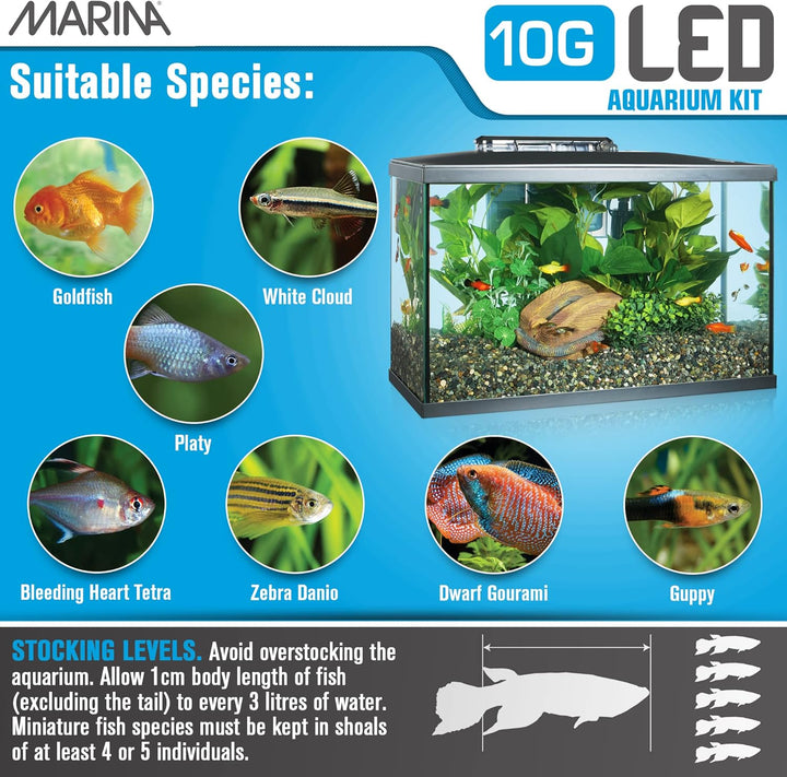 LED Aquarium Kit, 10 Gallon