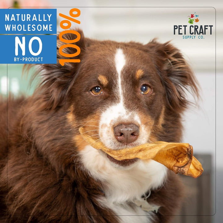 Grass Fed Water Buffalo Ear 16 Count (Pack of 1) Pig Ears for Dogs Alternative Free Range Long Lasting Dog Chew and Treat for Aggressive Chewers and Puppies