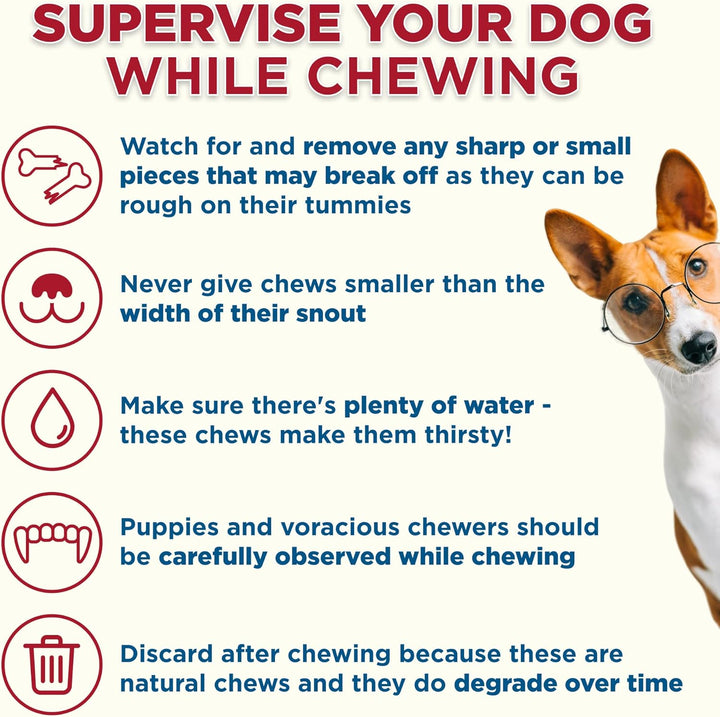 Marrow Bones - 3 Count (Pack of 1) - USA Packed, Healthy Snack, Grass-Fed Beef, Long-Lasting, Great for Large Breeds