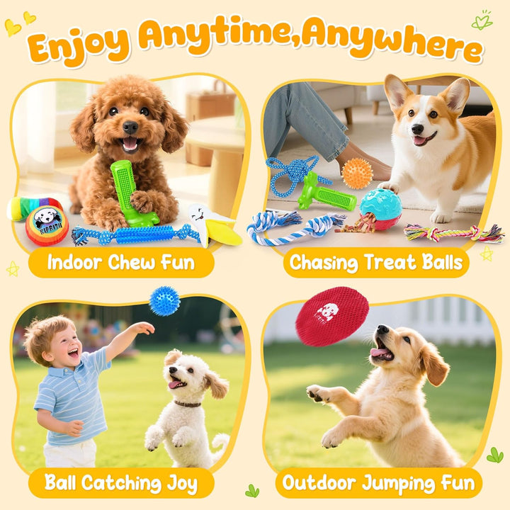 25 Pack Various Puppy Dog Toys for Teething, Entertainment & Interaction, Puppy Chew Toys Pack with Rope Toy, Treat Balls and Dog Squeaky Toys for Puppies & Small Dogs
