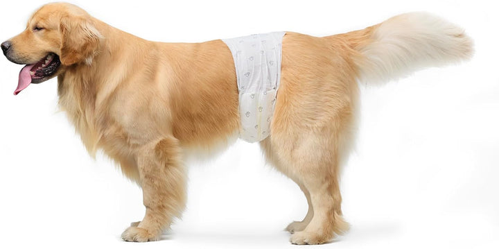 Male Dog Diapers, 30 Count, Small, Ultra Absorbent Disposable Wrap with Secure Fit, Leakproof and Comfortable