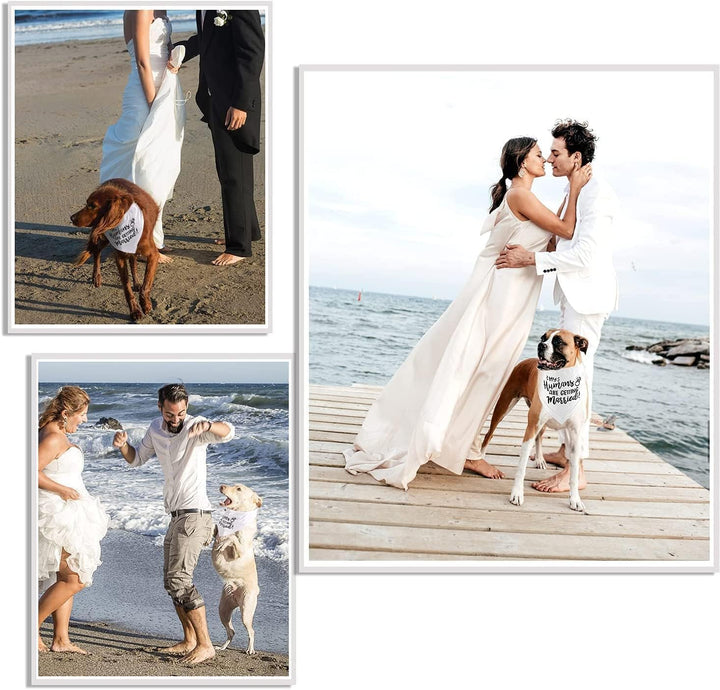 Engagement Gift, My Humans Are Getting Married Dog Bandana, Wedding Photo Prop, Pet Scarf, Dog Engagement Announcement, Pet Accessories (Black)