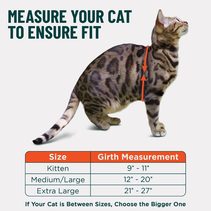 Houdini™ Escape Proof Cat Harness and Leash Set by  – Black, Medium Cat Harness for Walking