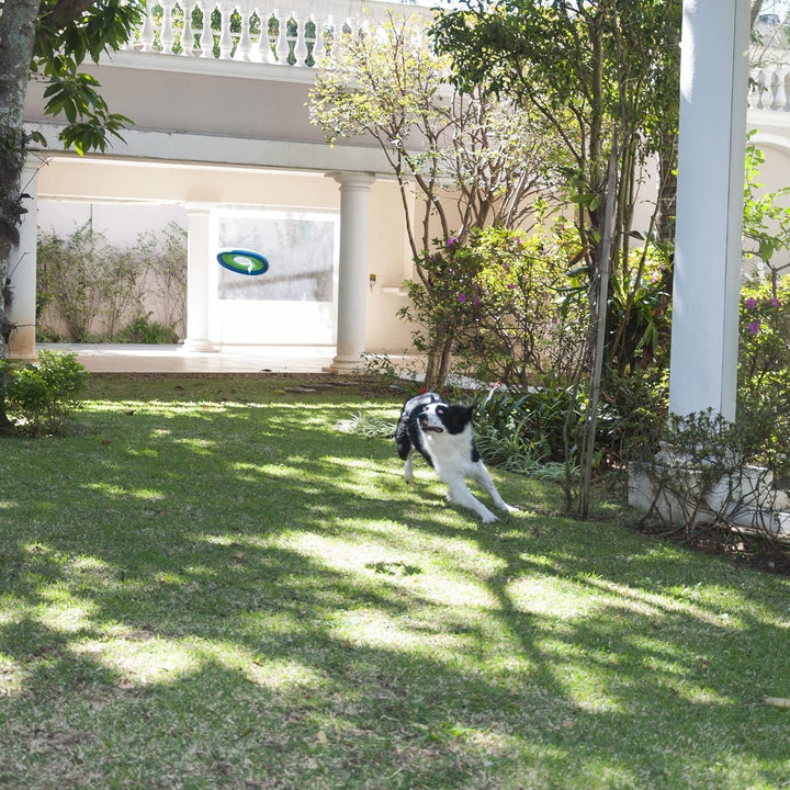 Lite Flight Dog Fetch Toy, Large (10 Inch Diameter)