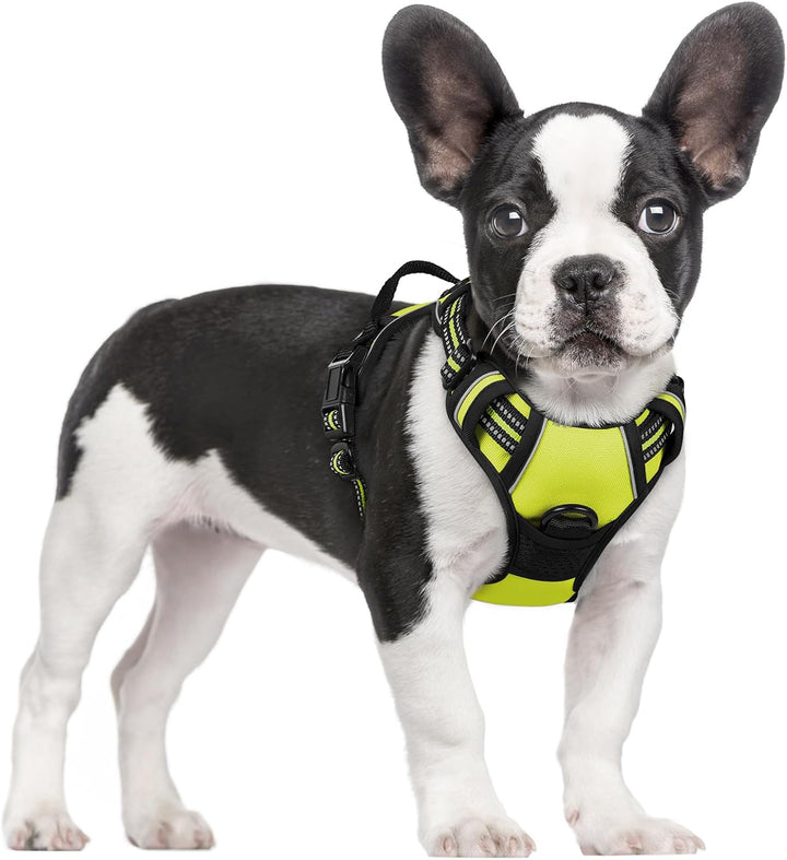 Dog Harness No Pull with 2 Leash Clips, Adjustable Soft Padded, Reflective Oxford No Choke Pet Vest with Easy Control Handle for Large Dogs, Black, L