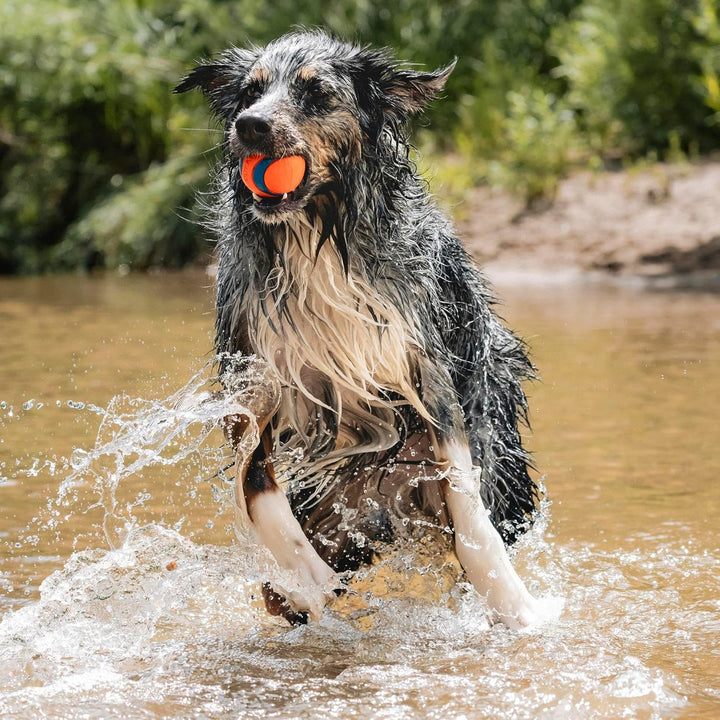 Ultra Ball Dog Toy - Size Large - for Dogs 60-100 Lbs - Made from Durable Rubber - Super Bouncy - Floats in Water - 3-Inch Diameter - Pack of 1