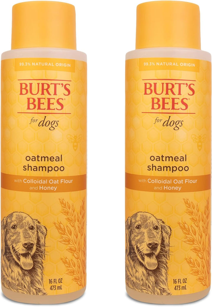 Oatmeal Shampoo for Dogs with Colloidal Oat Flour and Honey - Skin Soothing Dog Oatmeal Shampoo, Moisturizing Dog Wash for Itchy Dry Skin, Essential Grooming Supplies, 16 Fl Oz