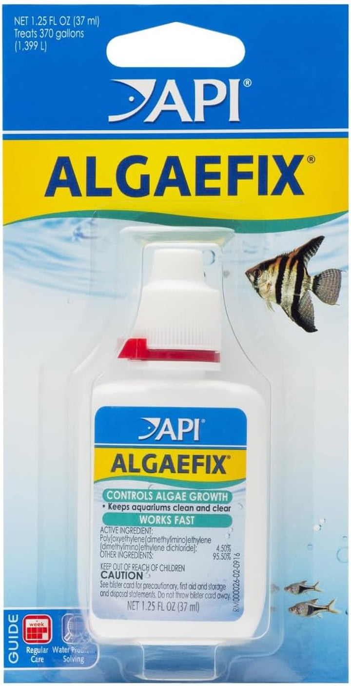 ALGAEFIX Algae Control 16-Ounce Bottle