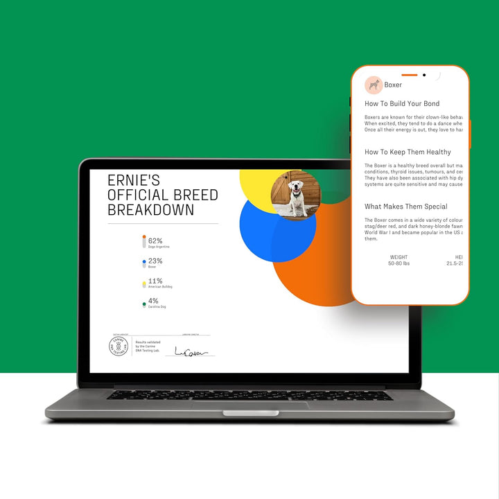 – Trusted & Affordable Breed Identification Test | 350+ Breeds Identified W/ 99%+ Accuracy | Complete Breed Analysis, Personality and Behavior Insights | Easy Cheek Swab, Results in 2 Weeks