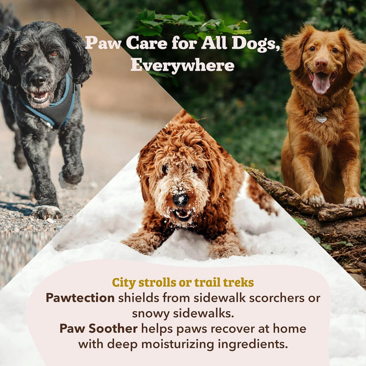 Pawtection Balm 2 Oz Stick – Dog Paw Protection Wax with Shea Butter & Calendula – Shields Paws from Snow, Ice, Salt, Hot Pavement & Rough Terrain – Lick-Safe, Vegan