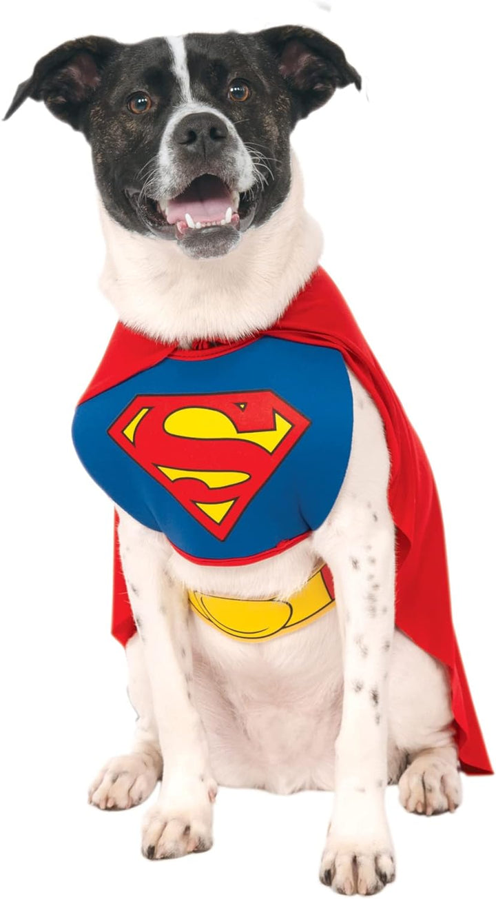 DC Comics Superheroes: Superman Pet Costume for for Dogs or Cats by , XL