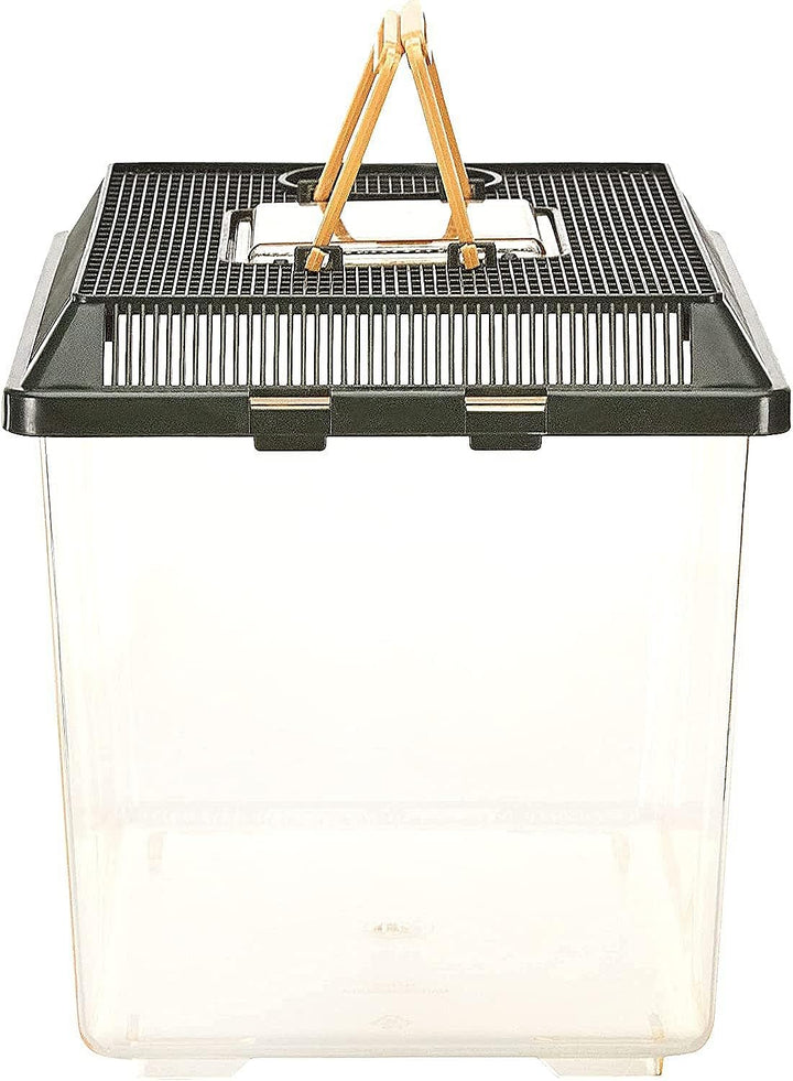 Faunarium, Plastic Reptile Terrarium, Medium, PT2260