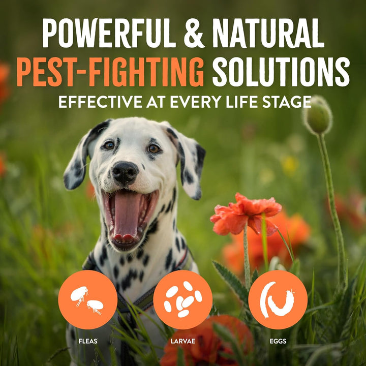 Flea and Tick Laundry Additive, Laundry Detergent Booster, Safe for Dogs, Cats, & Home, Powerful Treatment Laundry Addition, 32Oz