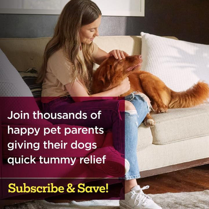 Stop the Runs | Dog anti Diarrhea Medicine | 6 Count Chewable | Chicken Flavor