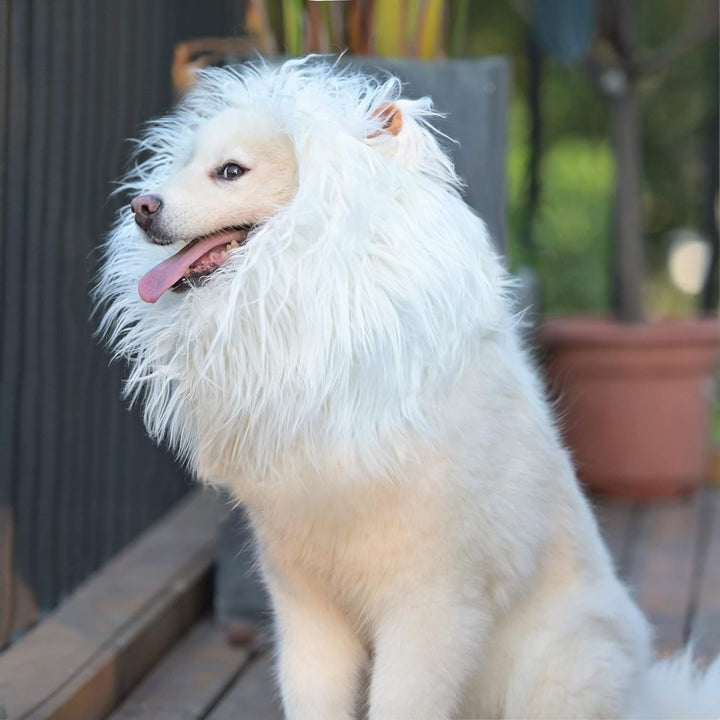 Lion Mane Wig for Dogs with Ears, Funny Pet Costumes for Halloween Christmas