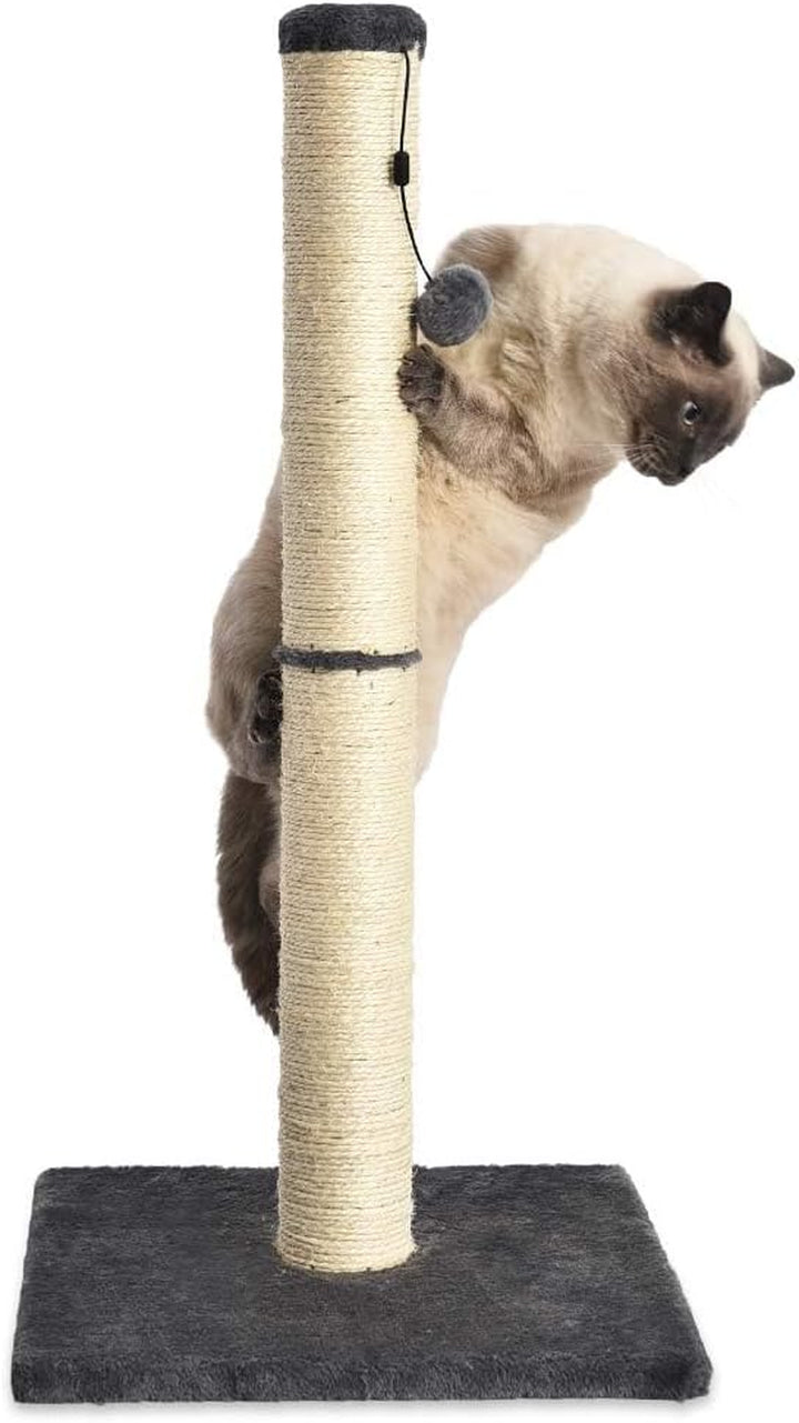Cat Scratcher - Indoor Classic Single Cat & Kittens Scratching Post, Medium (31.5"H) - Grey
