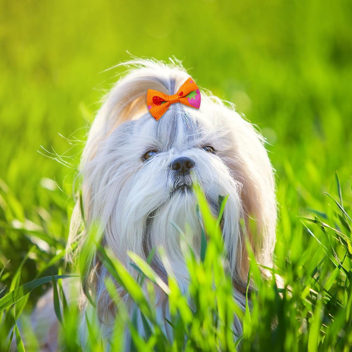 100PCS Cute Puppy Dog Small Bowknot Hair Bows,Yorkie Doggie Bows with Rubber Band Pet Grooming Bows Dog Hair Costume Accessories for Small Dog