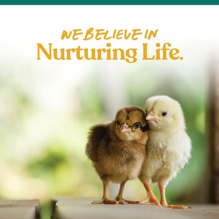 Chick Grit Digestive Supplement for Young Growing Poultry & Bantam Breeds, No Artificial Ingredients or Preservatives, Natural Supplement with Insoluble Crushed Granite, 5 Lbs