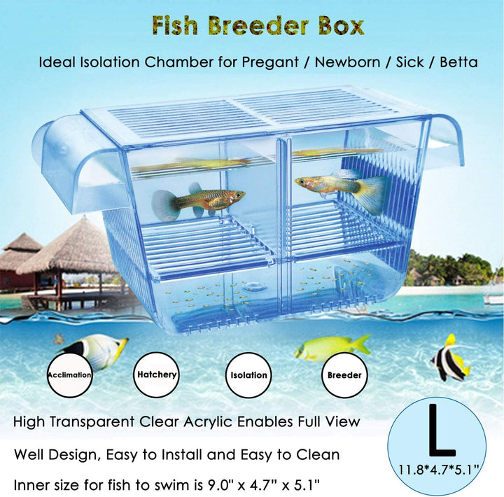 Fish Breeding Box, Acrylic Fish Isolation Box with Suction Cups, Aquarium Acclimation Hatchery Incubator for Baby Fishes Shrimp Clownfish and Guppy... Small Size (S)