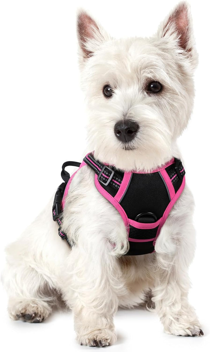 Dog Harness No Pull with 2 Leash Clips, Adjustable Soft Padded, Reflective Oxford No Choke Pet Vest with Easy Control Handle for Large Dogs, Black, L