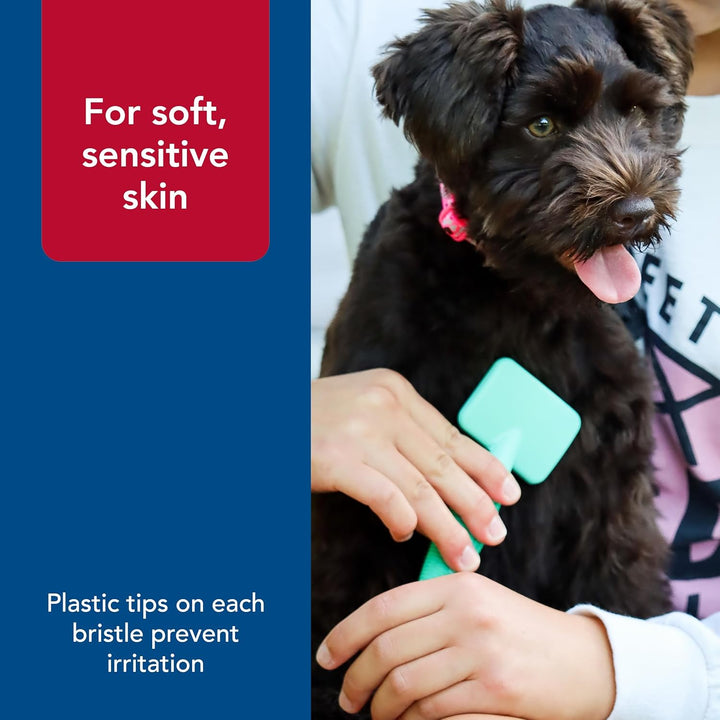 Pet Li'L Pals Dog Slicker Brush with Coated Tips - Dog Grooming Brush for Small Breeds & Puppies - One Size (3.25” X 7.25”)