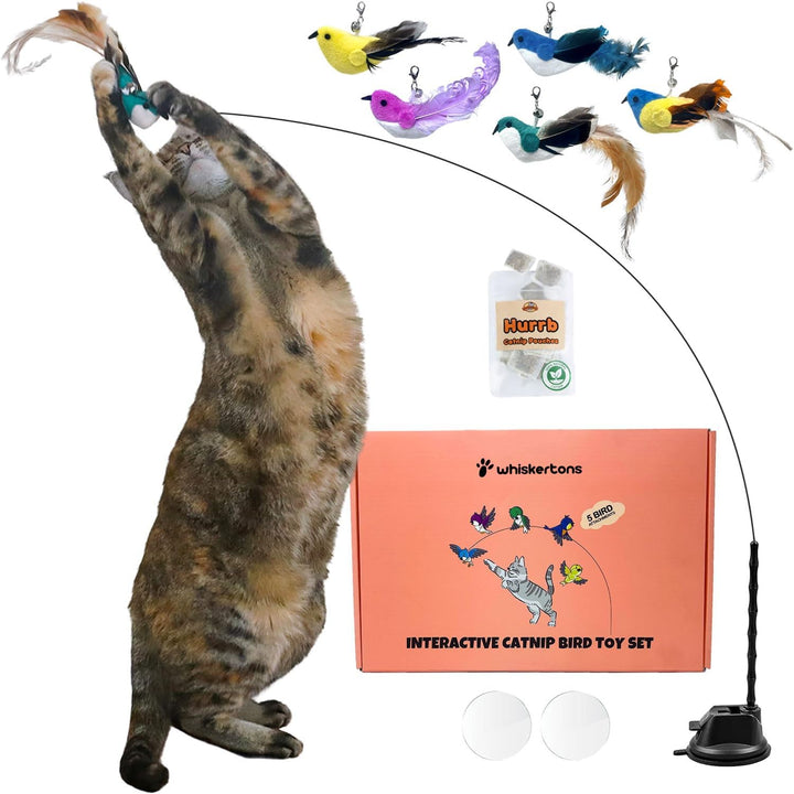 Interactive Bird Simulation Cat Toy Set, Interactive Cat Toys for Indoor Cats, Cat Feather Toy, Self-Holding Suction Base, 5 Replacement Birds, Feathers & Bells, Realistic Bird Impression