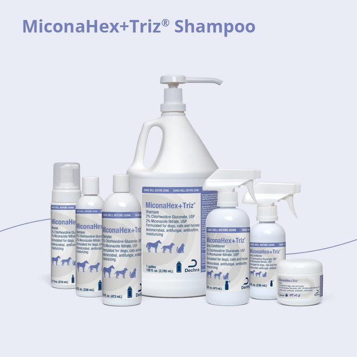 Shampoo for Dogs, Cats and Horses, 16 Oz