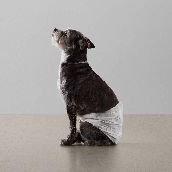 Male Dog Diapers, 30 Count, Small, Ultra Absorbent Disposable Wrap with Secure Fit, Leakproof and Comfortable