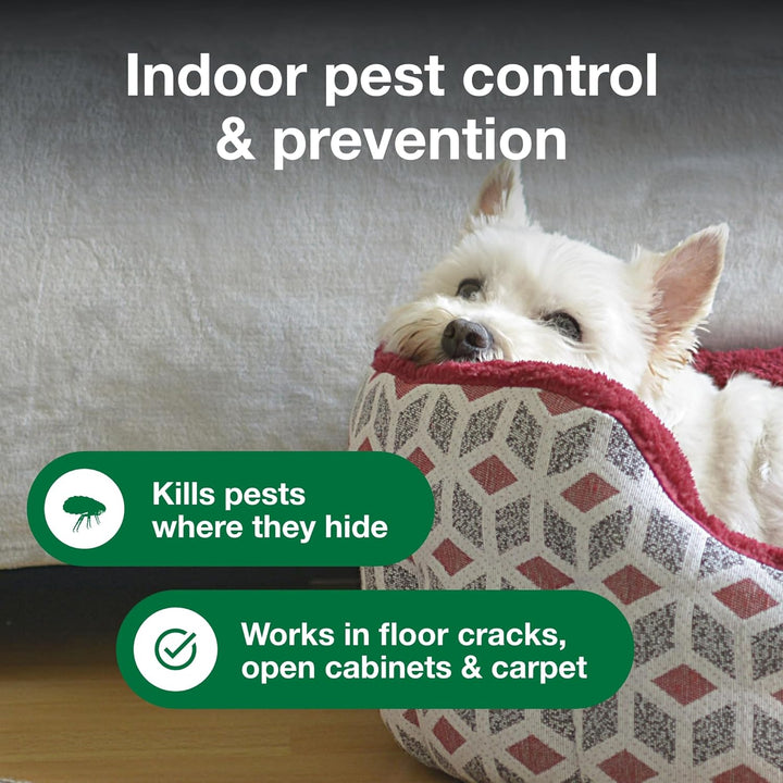 Household Fogger | Kills Fleas & Ticks | Flea Fogger for Home | 2 Oz. Canisters (Pack of 3)