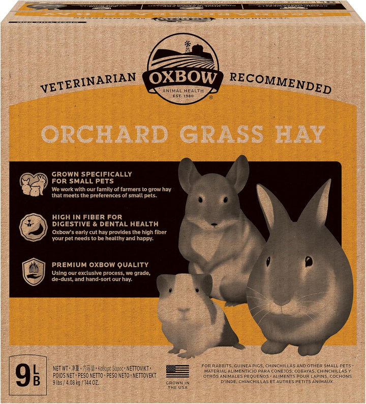 Animal Health Orchard Grass, Guinea Pig Hay, Rabbit Hay, Small Pet Bunny Supplies, All Natural Grass for Guinea Pig, Bunny, Chinchilla & Hamster,  Rabbit Supplies for Bunnies, 9 Lb. Box