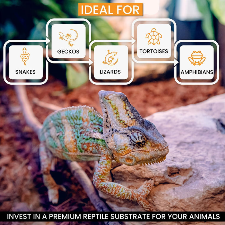 Reptichip Reptile Substrate Coconut Chip Bedding 72 Quart Compressed Organic Coco Husk Block for Snake Habitat, Ball Python Terrarium, Turtle Tanks, Tortoise Enclosure