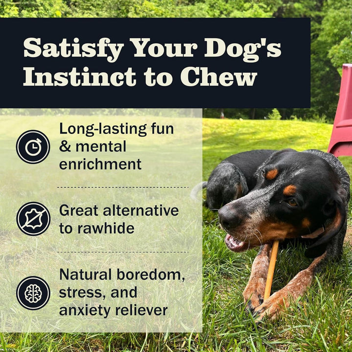All Natural 5-8" Bully Sticks for Small & Large Dogs - Healthy Long Lasting Chews Variety Party Pack - 100% Beef Single Ingredient Low Odor Rawhide Free Dental Treats - 8 Oz Bag