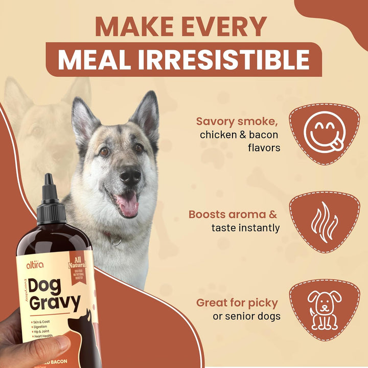Everyday Dog Gravy Bacon – Premium Wet Dog Food Gravy Toppers for Dry Food – Tasty & Nutritious Dogs Gravy with Essential Vitamins and Supplements – Hip and Joint Supplement