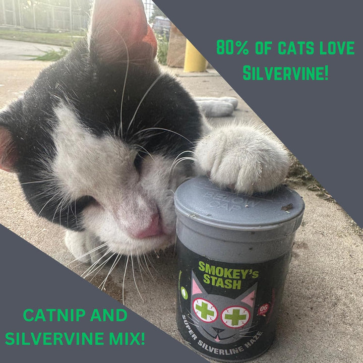 Silvervine Haze Potent Catnip and Silver Vine Blend for Cats