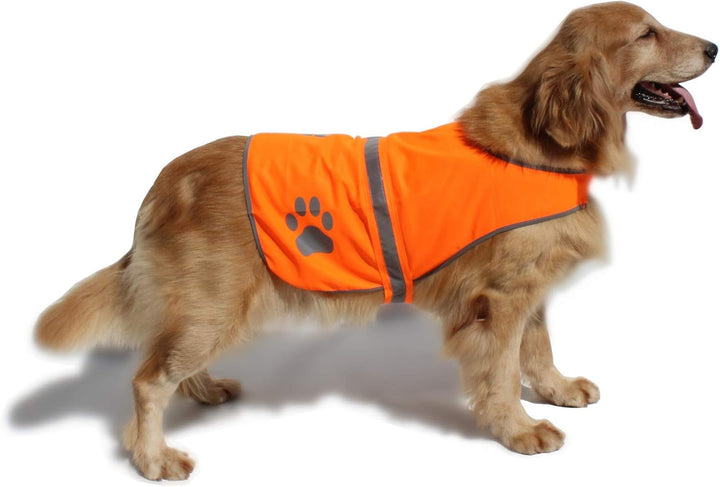 Dog Reflective Vest High Visibility Safety Jacket for Walking Running Hiking to Keep Dogs Visible Safe from Cars and Hunting Accidents Orange XL