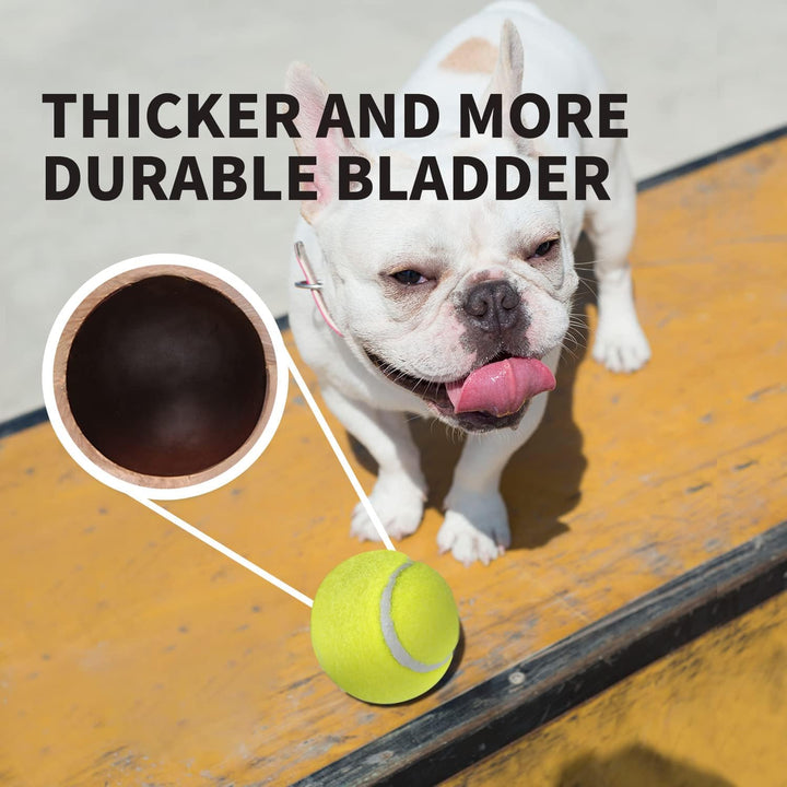 2-Inch Tennis Balls for Dogs, Fetch Toys for Small Medium Dogs, Bouncy & Durable Tennis Balls for Ball Launcher Toy, 6 Pack Fetch Toy for Outdoor Play