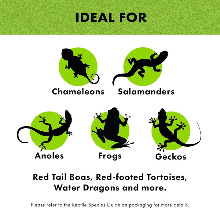 Coconut Husk Brick, Organic Bedding for Reptiles, Made with 100% Coconut Fiber, Ideal for Tropical Habitats and Egg Incubation