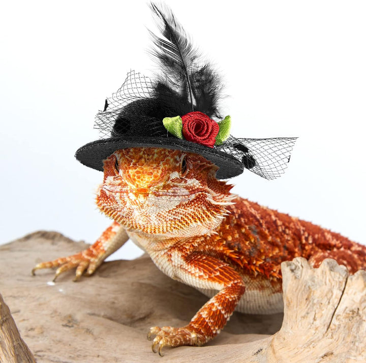 6 Pieces Chicken Hats for Hen Mini Chicken Helmet Accessories Feather Top Funny Small Hat Funny with Adjustable Elastic Chin Strap for Animal Costume (Fresh Color, Classic Style)